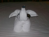 /album/photo-gallery/a1st-cruse-freedom-of-the-seas-051-jpg/